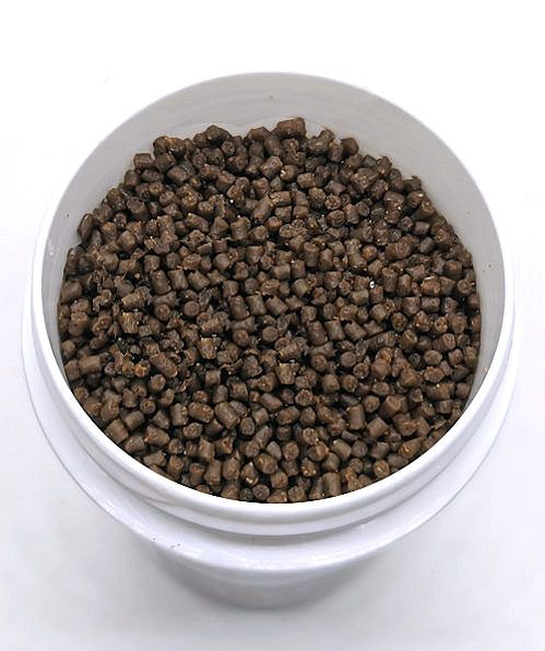 Dr. Shrimp Healthy Protect - Garnelenfutter gegen Darmparasiten