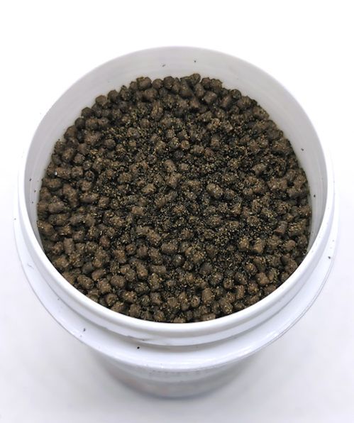 Dr. Shrimp Healthy Basic - Hauptfutter für Garnelen