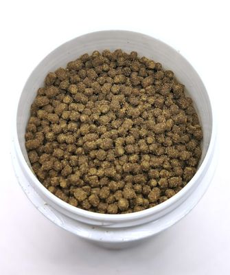 Dr.Shrimp Healthy Herbal - Immunsystem Garnelen Futter