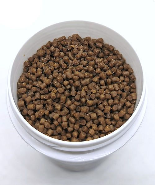 Dr. Shrimp Healthy Protein - Unterstützung zur Eiausbildung von Garnelen